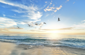 Is The Humidity Really Bad In Myrtle Beach? is-the-humidity-bad-myrtle-beach