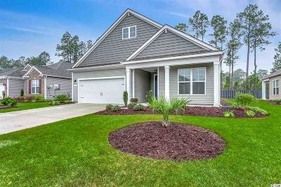 Myrtle Beach Single Family homes