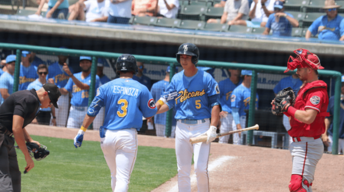 Myrtle Beach Pelicans