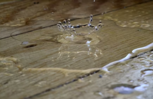 5 Tips to Know About Repairing Water Damage Caused by a Plumbing Issue